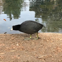 prayer for my daughter