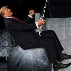 Donald Trump Sings Wrecking Ball By Miley Cyrus