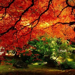 Back When And Where - Matt Beard