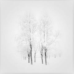 Malle - Whiteout (December 2017)