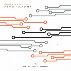 Tinlicker Ft CUT_ - Wanderer (Extended Mix)