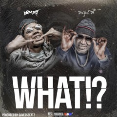 DOT FEAT PROJECT PAT - WHAT (PROD DAVEOSBEATZ)