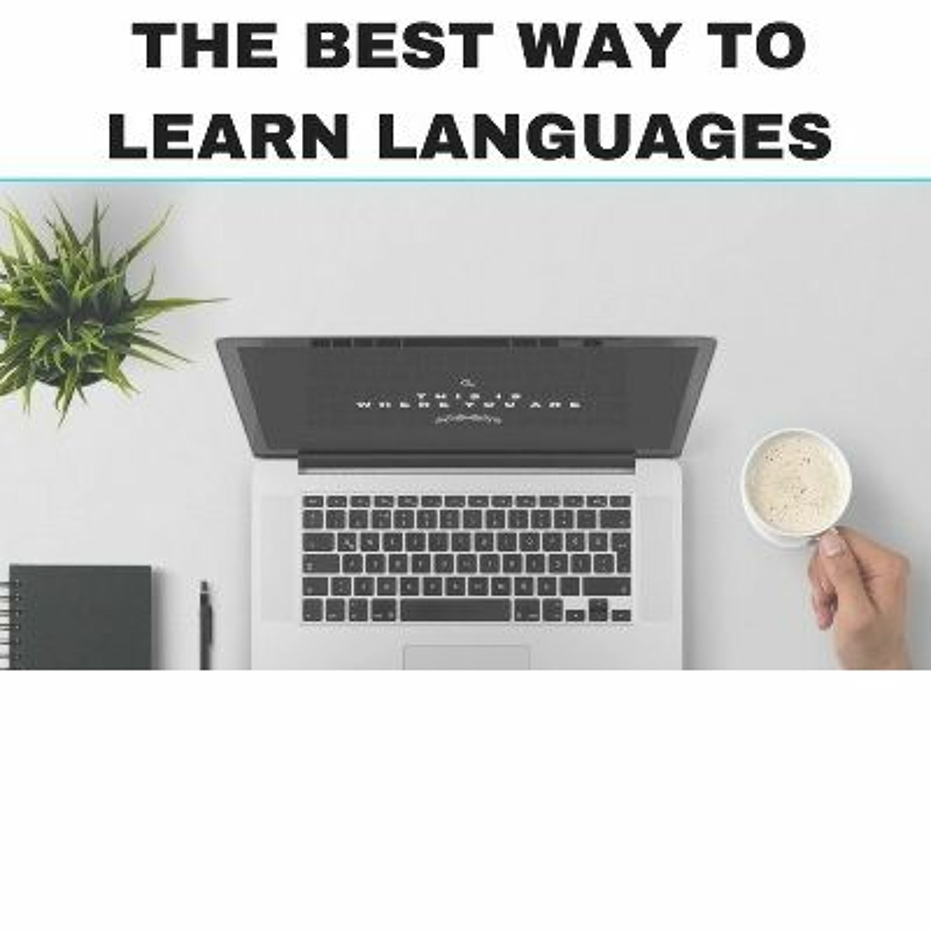 Learn Languages with Steve Kaufmann