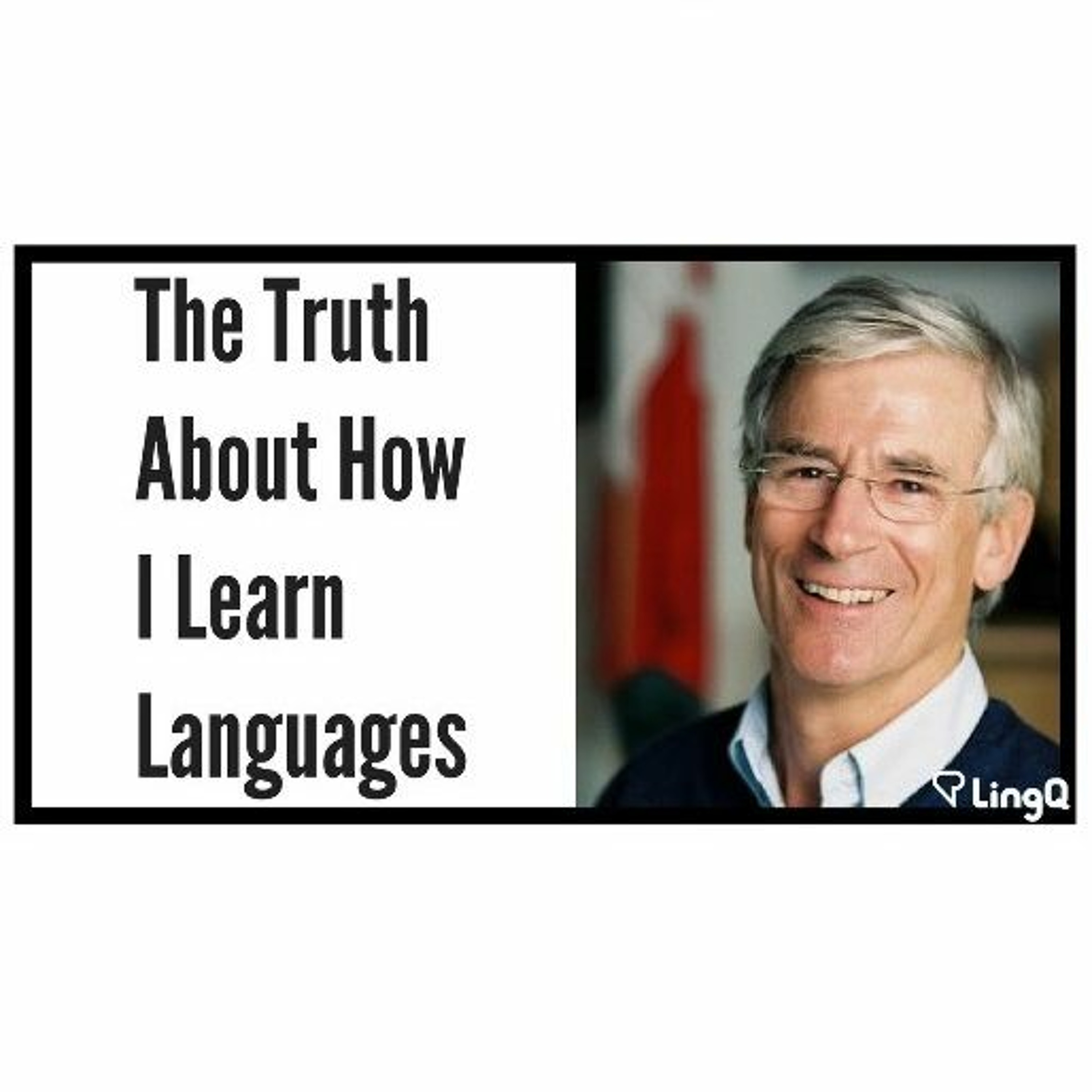 Learn Languages with Steve Kaufmann