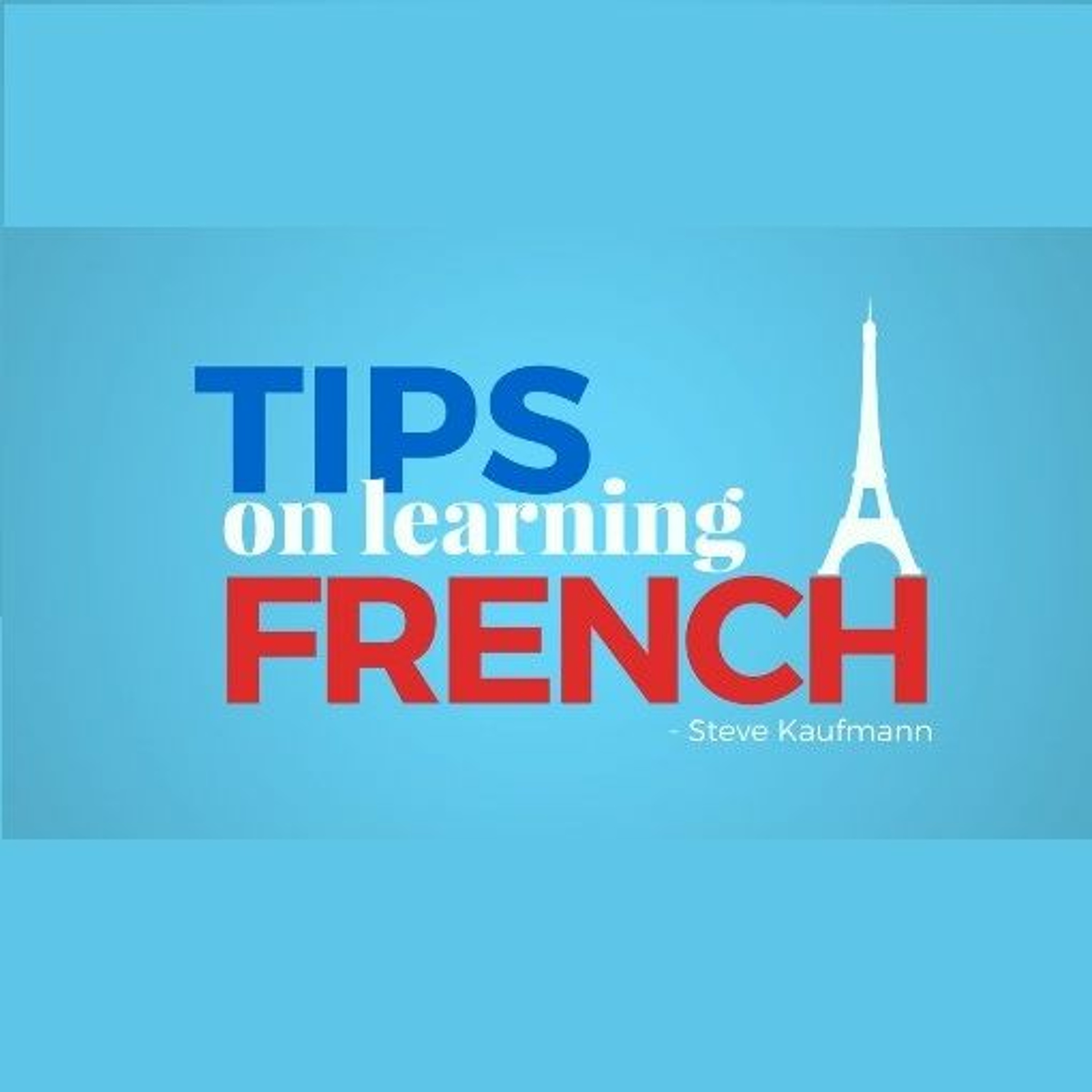 Learn Languages with Steve Kaufmann