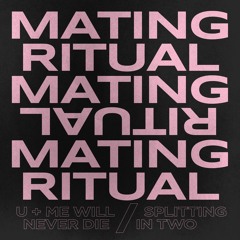 Splitting In Two