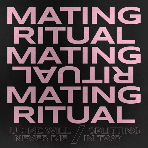 Splitting In Two