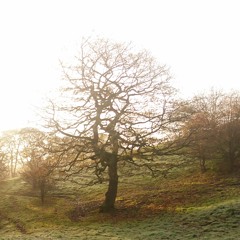 Fall