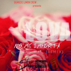 NO ME IMPORTA (HURTING ME REMIX)