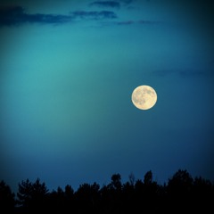 Under The Moonlight