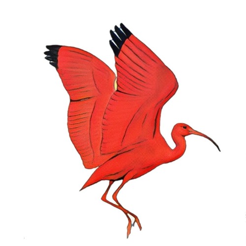 Mogadishu Summer Mix 2017