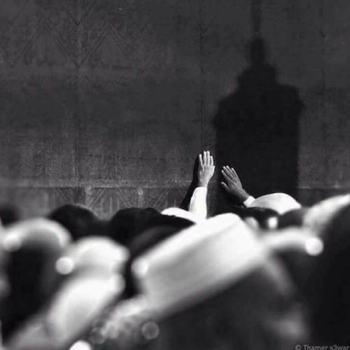 سورة الإخلاص القارئ هزاع البلوشي 🌼💌