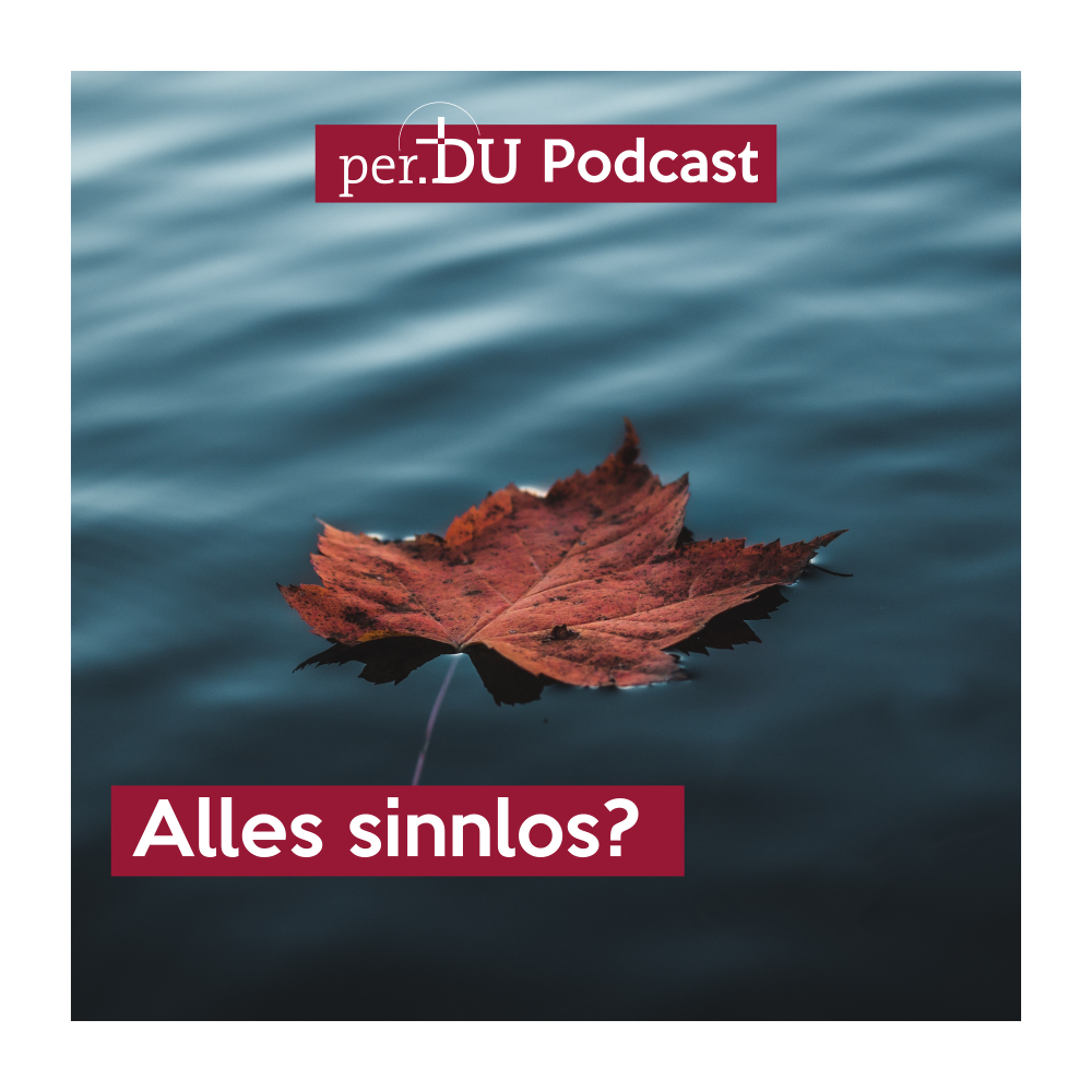 Alles sinnlos? - Wie lebe ich richtig? - Reinhard Mall episode artwork