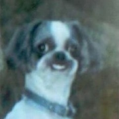 I have no idea what this is even...