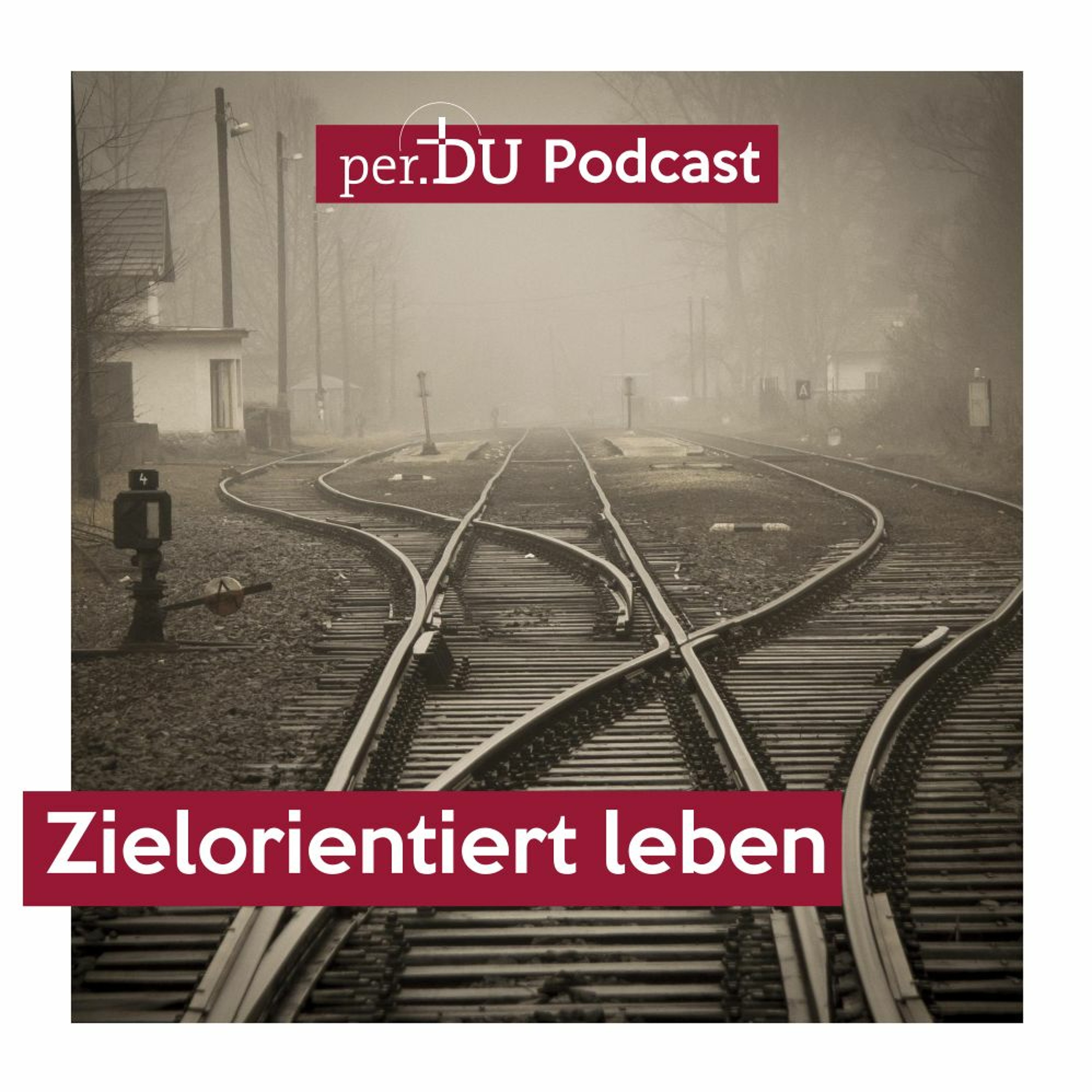 Silvester 2017 - Zielorientiert leben - Achim Kellenberger episode artwork