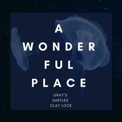 Gray's & Shefler & Clay Lock -  A Wonderful Place(Original Mix)