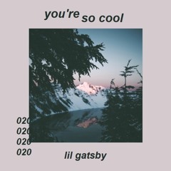 020 // you're so cool