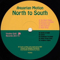 VG006 /// Aquarian Motion - North to South