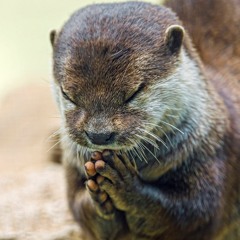 - 🤛 DJ 🎧 Peter 🐡 Perplexe 🌐 Unlimited 🤜 -