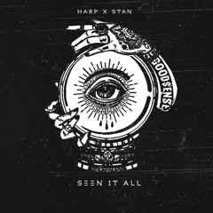 SEEN IT ALL - HARP X STAN