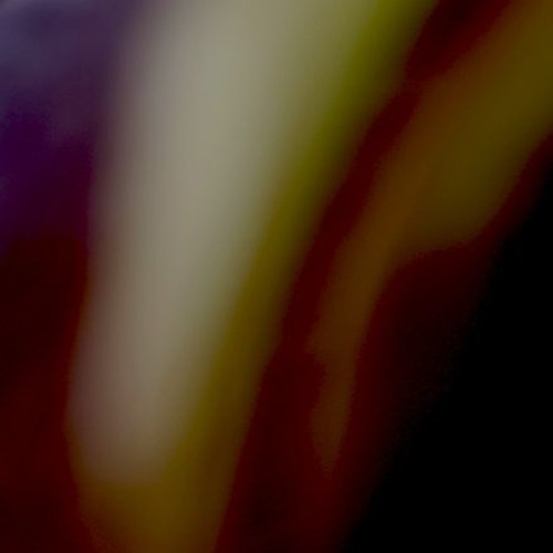 Frequencies Management - Alfa Canis Majoris