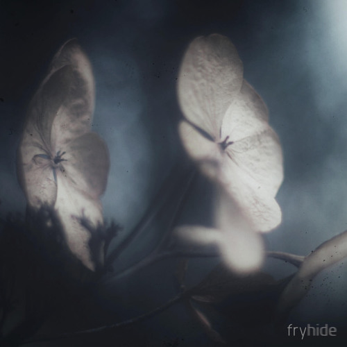 GROJ - The Crossing (HOSH Remix)