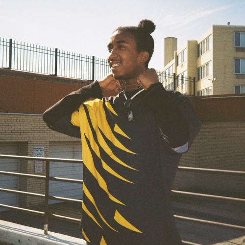 SWAN LINGO - WONDER WHAT LP (OUT NOW)