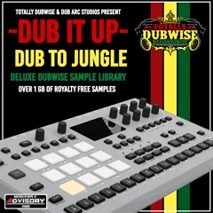 Dub Arc│Totally Dubwise & Dub Arc Present Dub To Jungle Demo