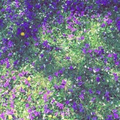 number poetry (feat. The Guys) [prod. @faifalicious]