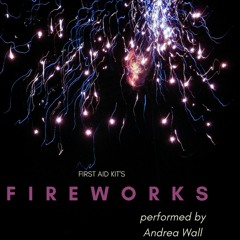 Fireworks - First Aid Kit