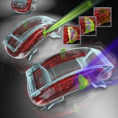 For These Robots, Squishy Is Superior