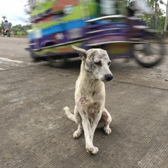 What The Fuck or "WTF" (extended version)