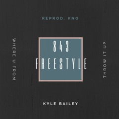 843 Freestyle (Reprod. by K.N.O)