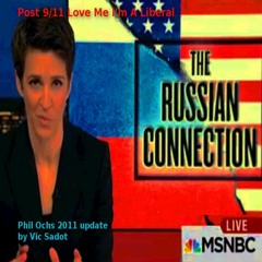 Post 9/11 Love Me I'm a Liberal