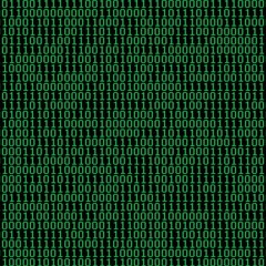 PLEASE CHECK THE NUMBER