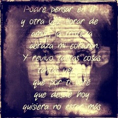 Feliz Feliz... Por ultima vez