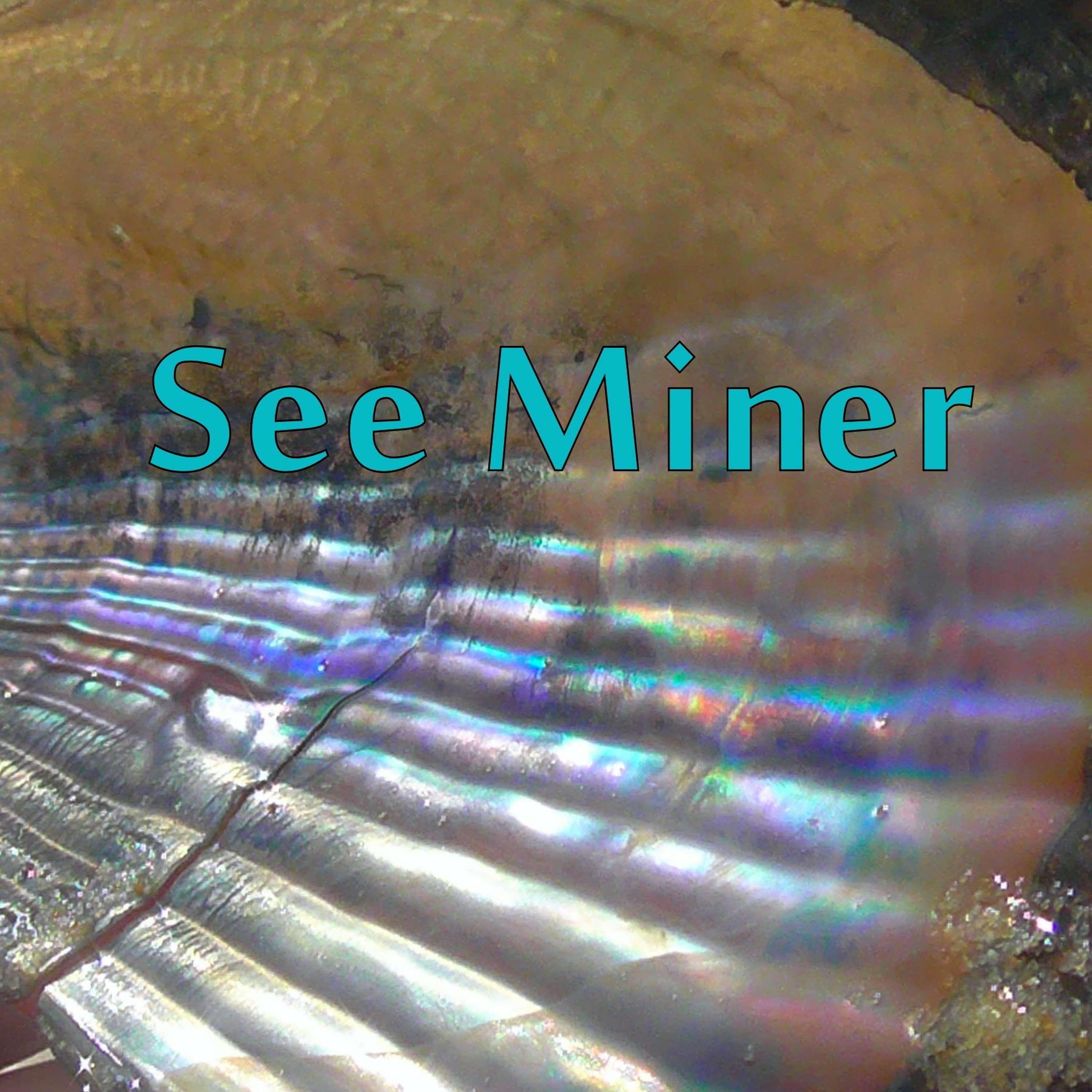 See Miner episode artwork