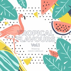 Tropical Flavours vol.1 (February 2018)