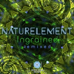 Naturelement - When The Soul...(Key - G & Hypnotizer Rmx)