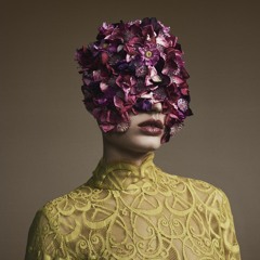 The Springful Bolia Mix