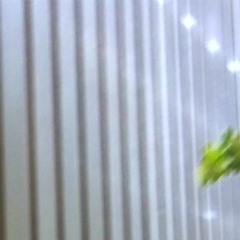 WaitingByThePlanter w/BANSHEE (Bones cover)
