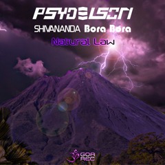 03 - Psydelson - Natural Law