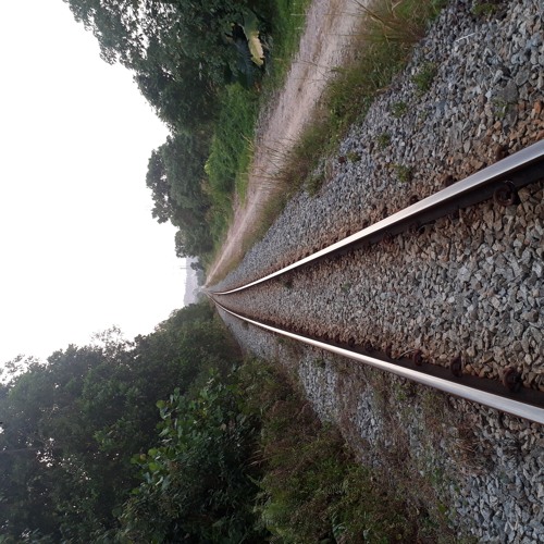 Tipe x cinta sederhana