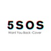5 Seconds Of Summer Want You Back Cover Mp3
