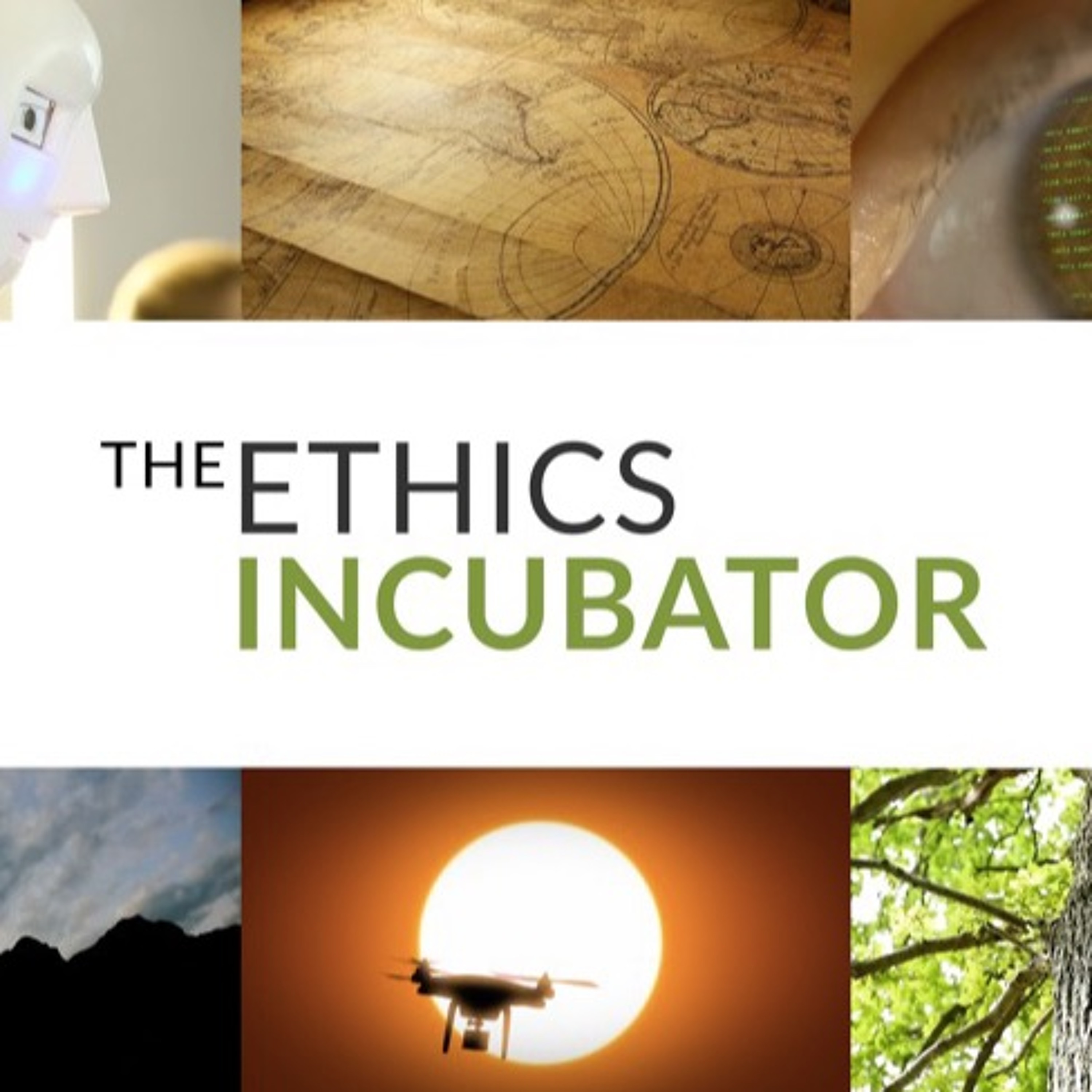 The Ethics Incubator