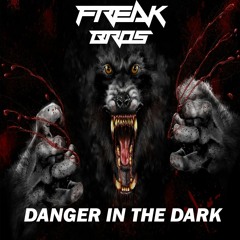 FreakBros - Danger In The Dark (Original Mix)
