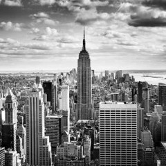 Empire State of Bronx