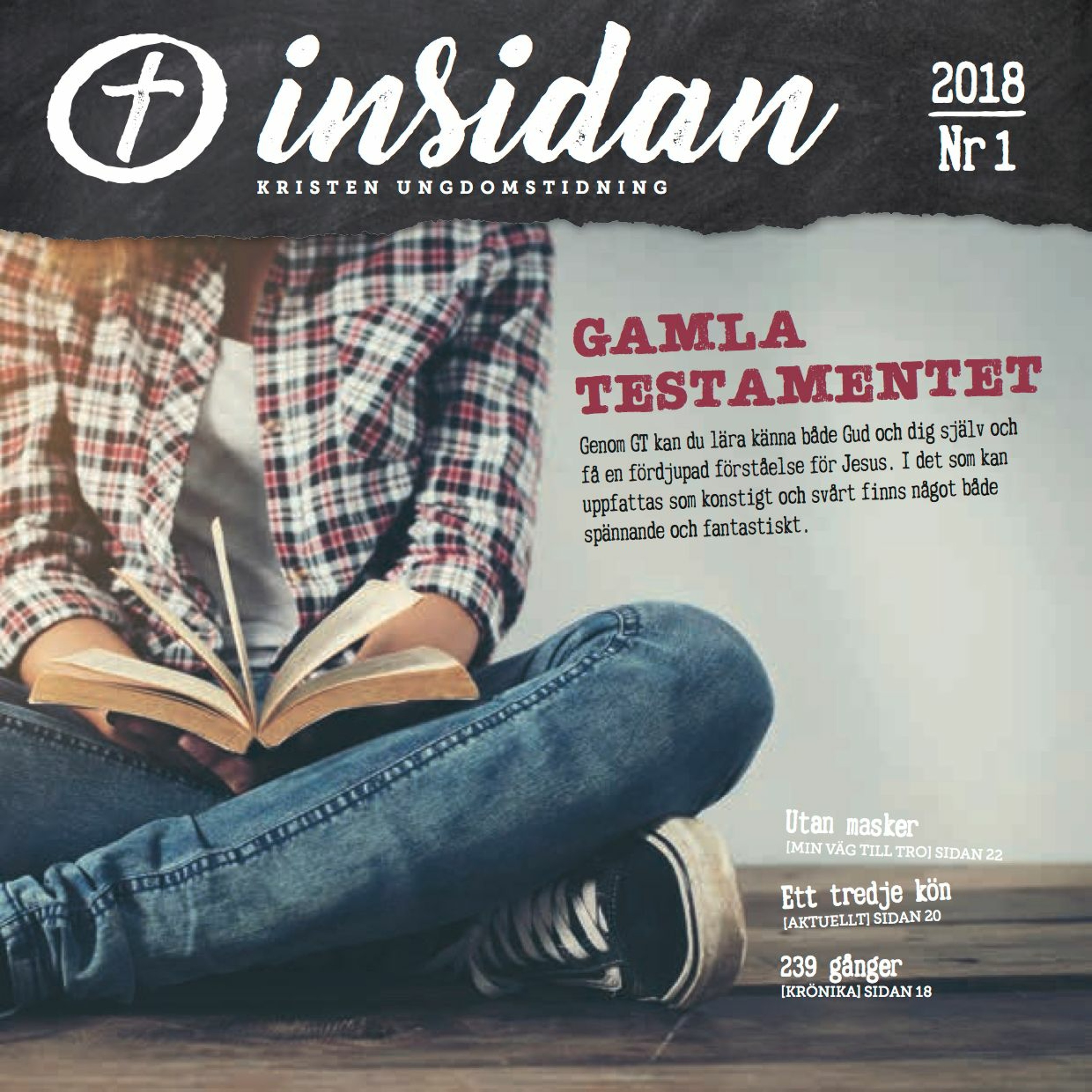 Insidan