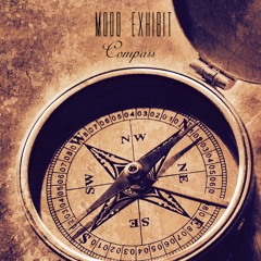 Mood Exhibit- Compass