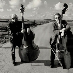 Dobro - Adverse Camber